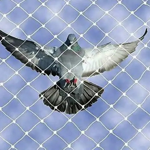 Pigeon Net Project