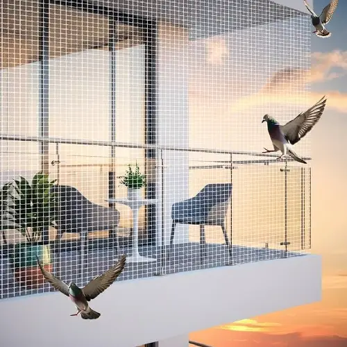 Bird Net Project